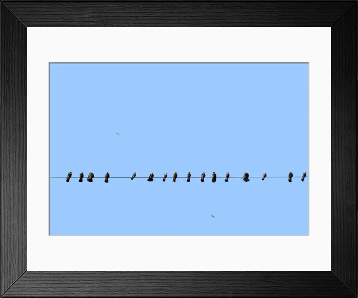 Framed Print : Picture No. 11981334 Framed Print : Picture No. 11981334