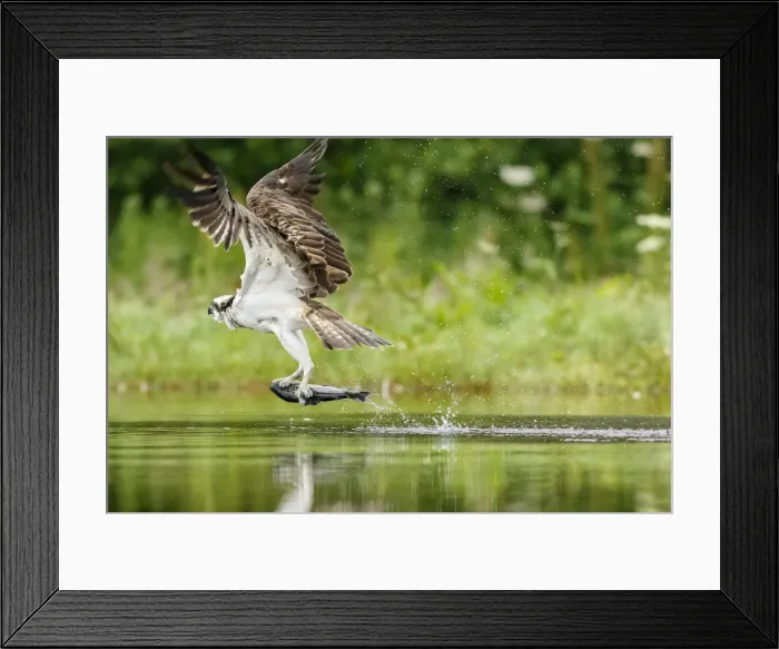 Framed Print : Picture No. 11992413 Framed Print : Picture No. 11992413
