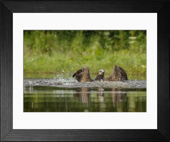Framed Print : Picture No. 11992414 Framed Print : Picture No. 11992414