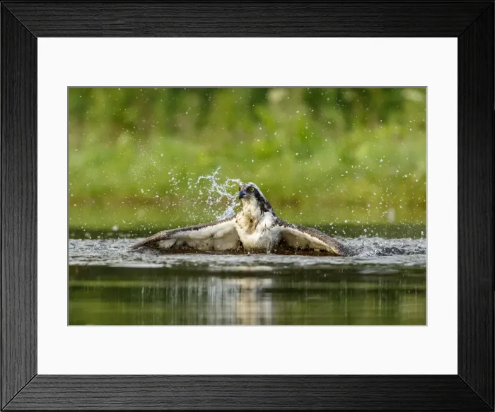 Framed Print : Picture No. 11992418 Framed Print : Picture No. 11992418