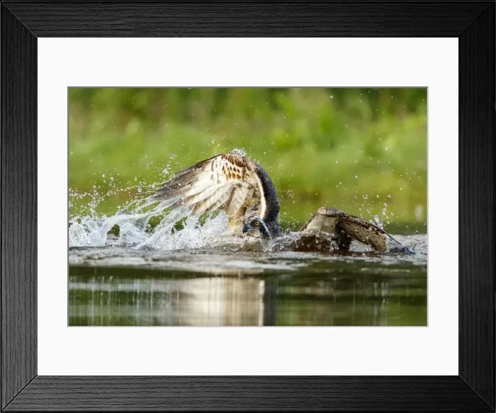 Framed Print : Picture No. 11992419 Framed Print : Picture No. 11992419