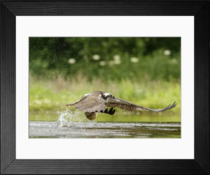 Framed Print : Picture No. 11992425 Framed Print : Picture No. 11992425