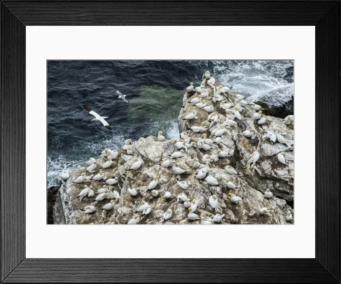 Framed Print : Picture No. 11992432 Framed Print : Picture No. 11992432
