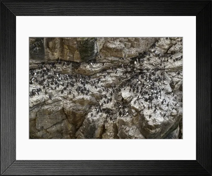 Framed Print : Picture No. 11992435 Framed Print : Picture No. 11992435