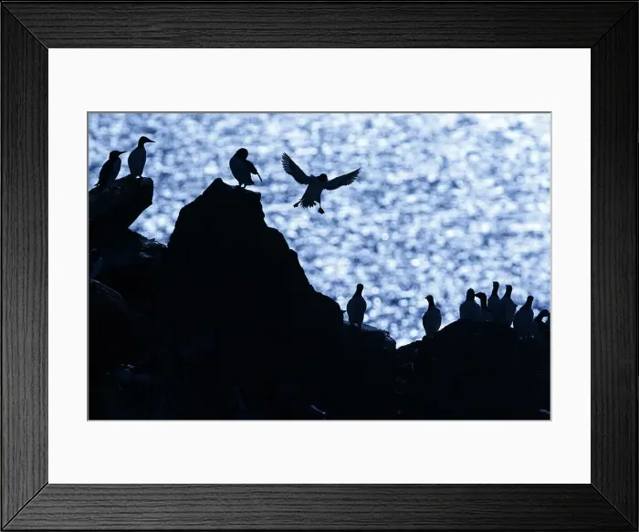 Framed Print : Picture No. 11992438 Framed Print : Picture No. 11992438