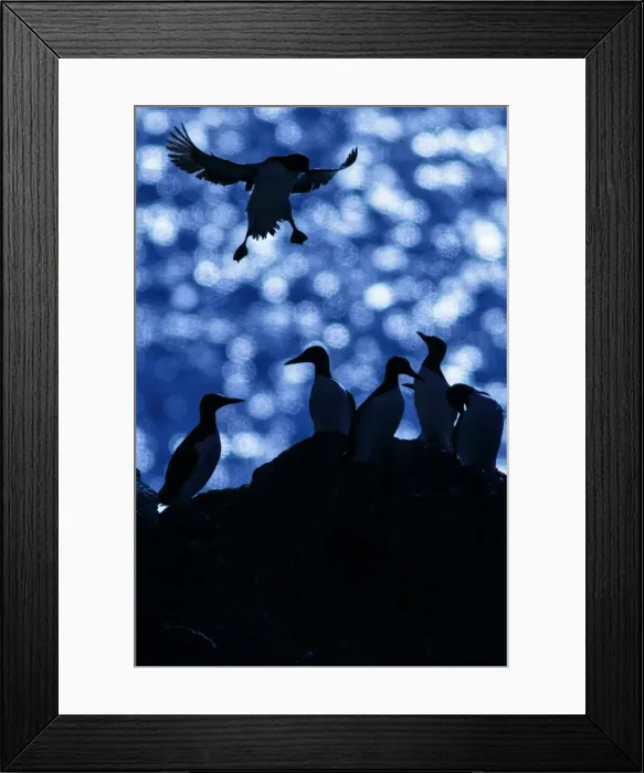 Framed Print : Picture No. 11992442 Framed Print : Picture No. 11992442