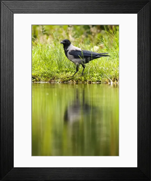 Framed Print : Picture No. 11992444 Framed Print : Picture No. 11992444