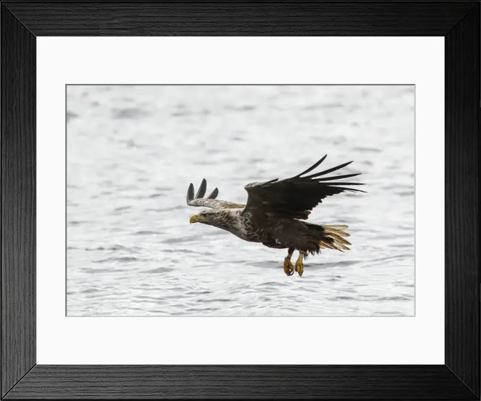 Framed Print : Picture No. 11992447 Framed Print : Picture No. 11992447