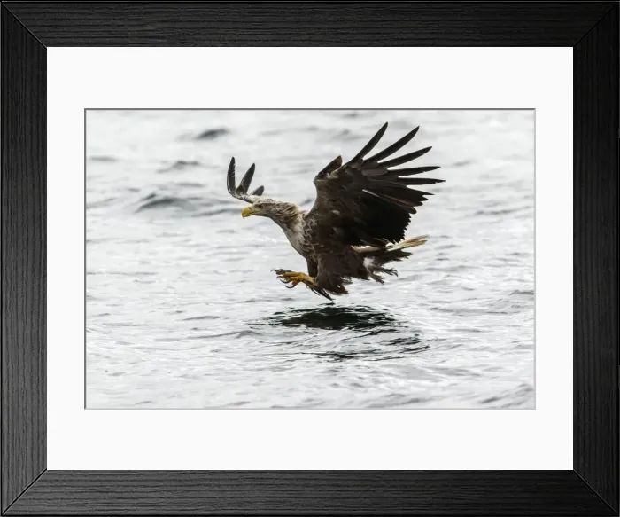 Framed Print : Picture No. 11992448 Framed Print : Picture No. 11992448