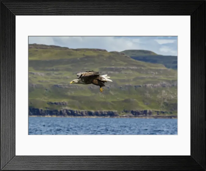 Framed Print : Picture No. 11992451 Framed Print : Picture No. 11992451