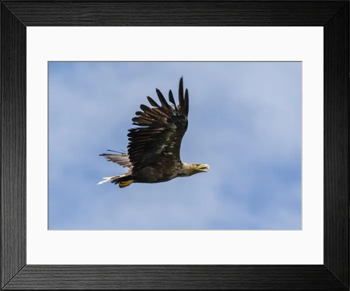 Framed Print : Picture No. 11992452 Framed Print : Picture No. 11992452