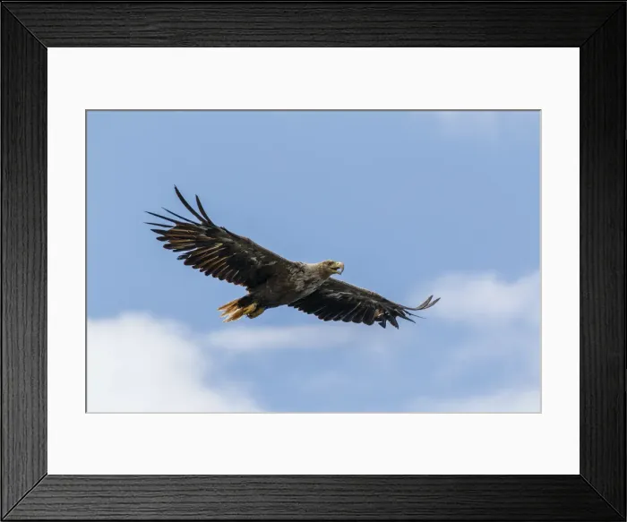 Framed Print : Picture No. 11992453 Framed Print : Picture No. 11992453