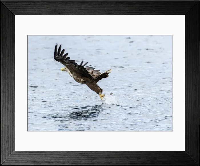 Framed Print : Picture No. 11992456 Framed Print : Picture No. 11992456