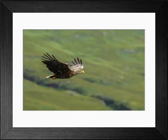 Framed Print : Picture No. 11992457 Framed Print : Picture No. 11992457