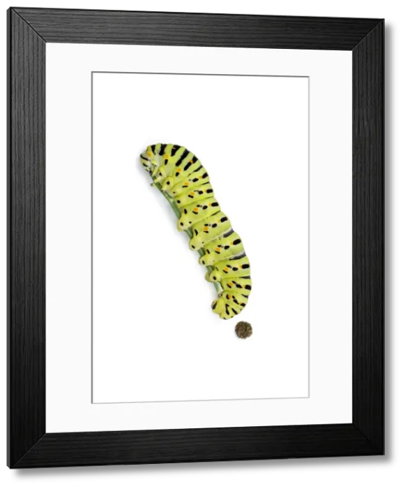 Framed Print : Picture No. 11992463 Framed Print : Picture No. 11992463