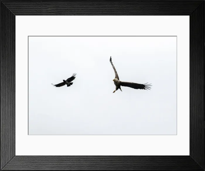 Framed Print : Picture No. 11992476 Framed Print : Picture No. 11992476