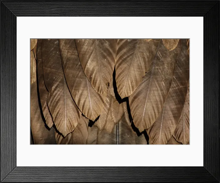 Framed Print : Picture No. 11992673 Framed Print : Picture No. 11992673