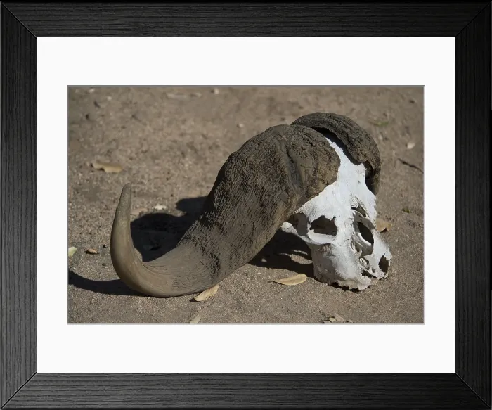 Framed Print : Picture No. 11992701 Framed Print : Picture No. 11992701