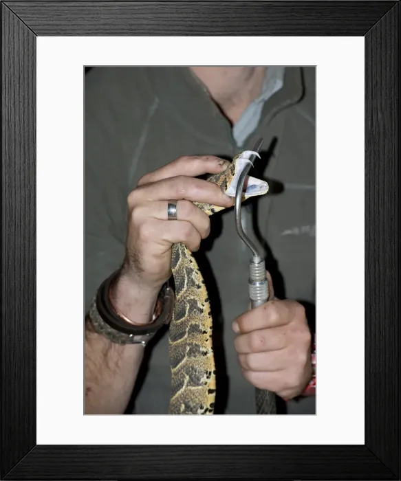 Framed Print : Picture No. 11992705 Framed Print : Picture No. 11992705