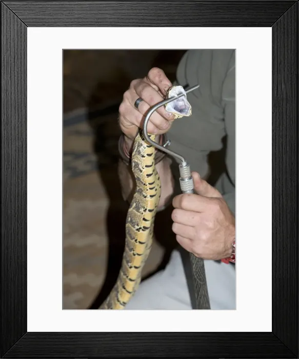 Framed Print : Picture No. 11992706 Framed Print : Picture No. 11992706