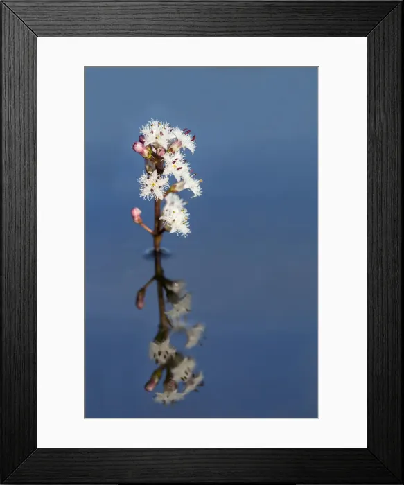 Framed Print : Picture No. 11993139 Framed Print : Picture No. 11993139