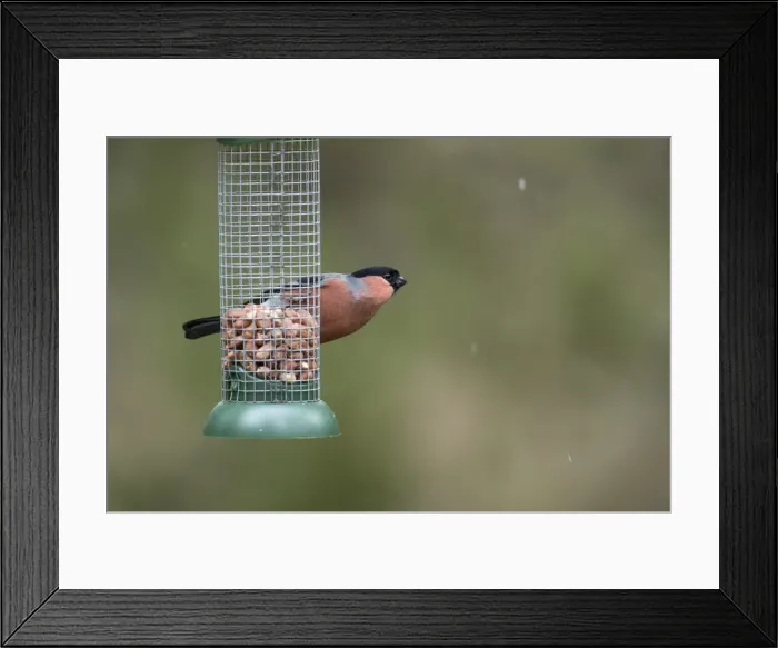 Framed Print : Picture No. 11993142 Framed Print : Picture No. 11993142