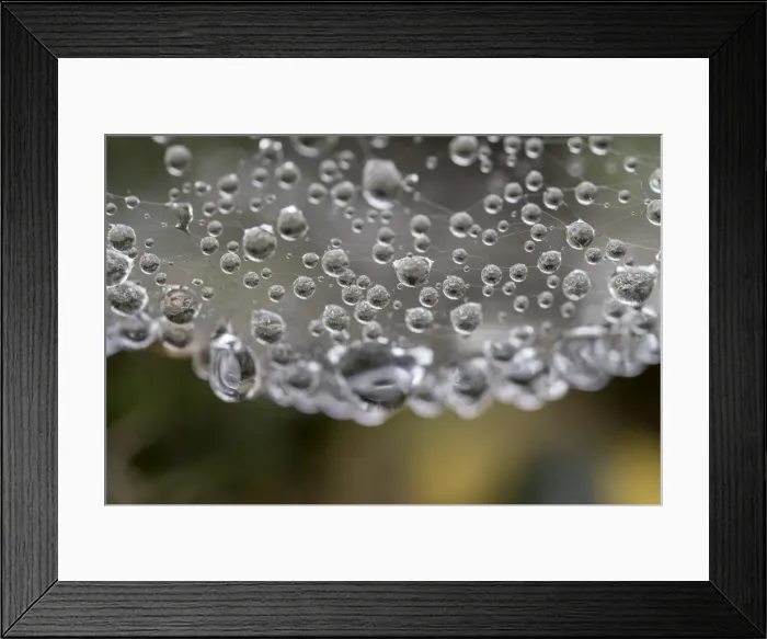 Framed Print : Picture No. 11993163 Framed Print : Picture No. 11993163
