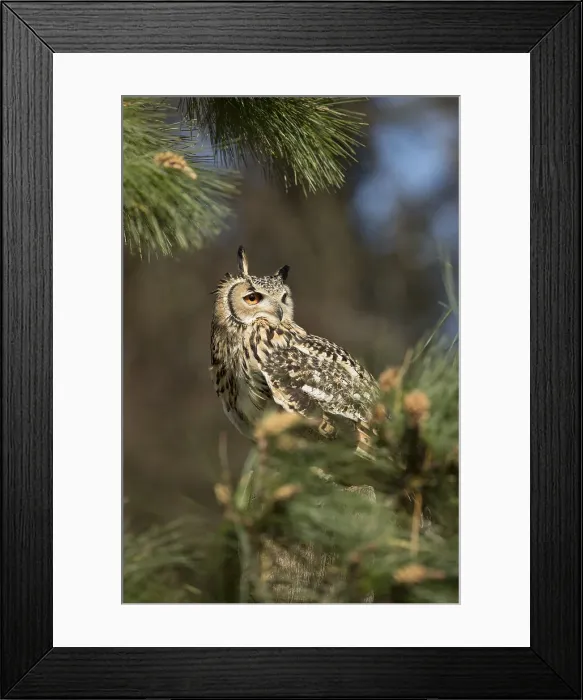 Framed Print : Picture No. 11993168 Framed Print : Picture No. 11993168
