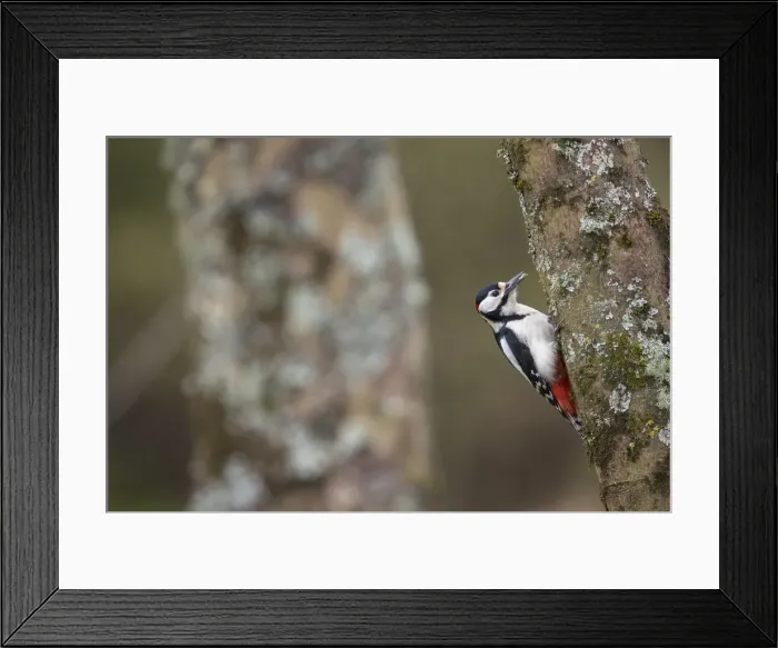 Framed Print : Picture No. 11993196 Framed Print : Picture No. 11993196