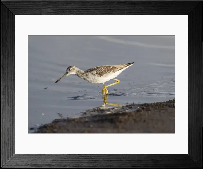 Framed Print : Picture No. 11993201 Framed Print : Picture No. 11993201