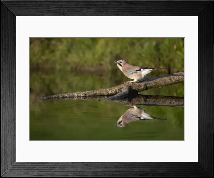 Framed Print : Picture No. 11993214 Framed Print : Picture No. 11993214