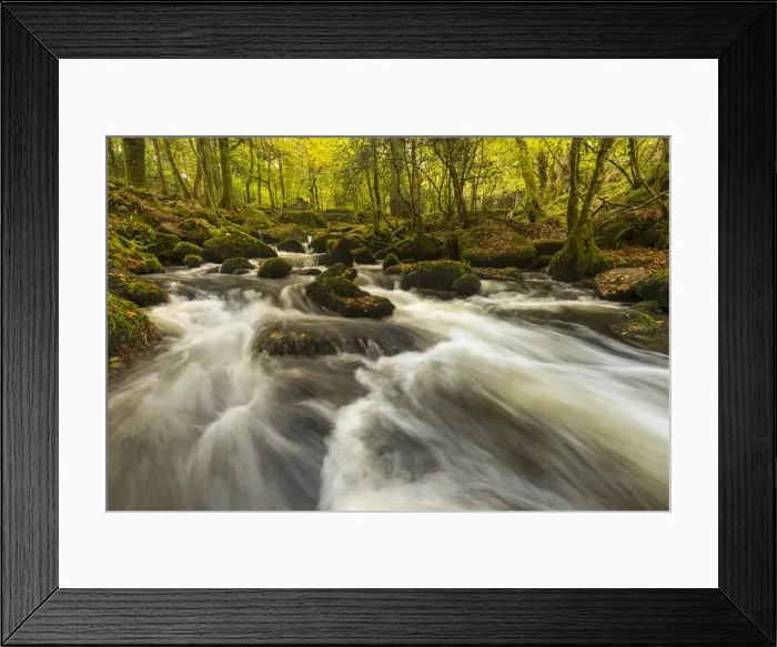 Framed Print : Picture No. 11993217 Framed Print : Picture No. 11993217