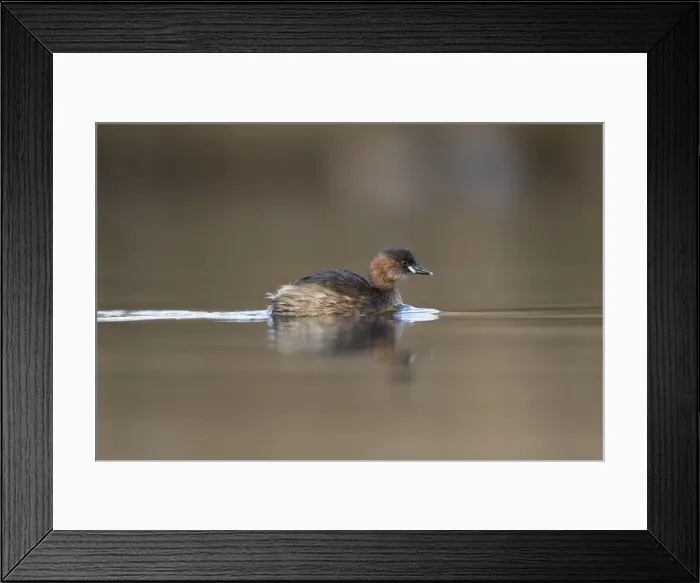 Framed Print : Picture No. 11993221 Framed Print : Picture No. 11993221