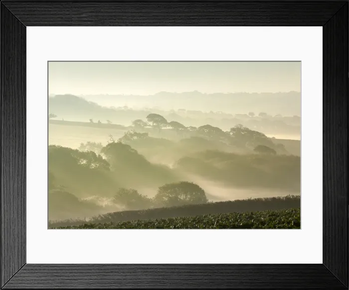 Framed Print : Picture No. 11993226 Framed Print : Picture No. 11993226