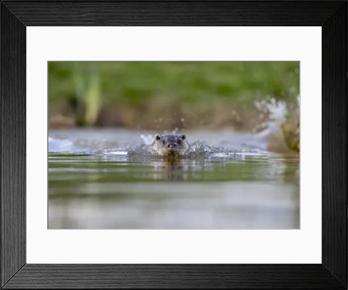 Framed Print : Picture No. 11993237 Framed Print : Picture No. 11993237