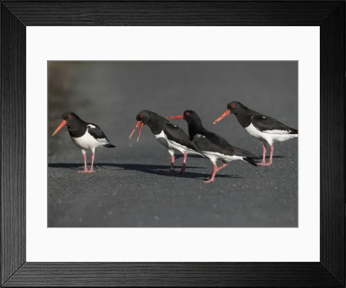 Framed Print : Picture No. 11993239 Framed Print : Picture No. 11993239