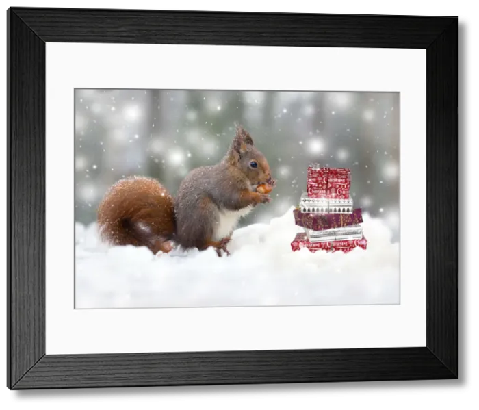 Framed Print : Picture No. 11993340 Framed Print : Picture No. 11993340