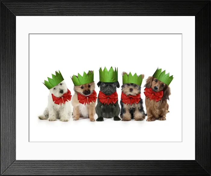 Framed Print : Picture No. 11991577 Framed Print : Picture No. 11991577