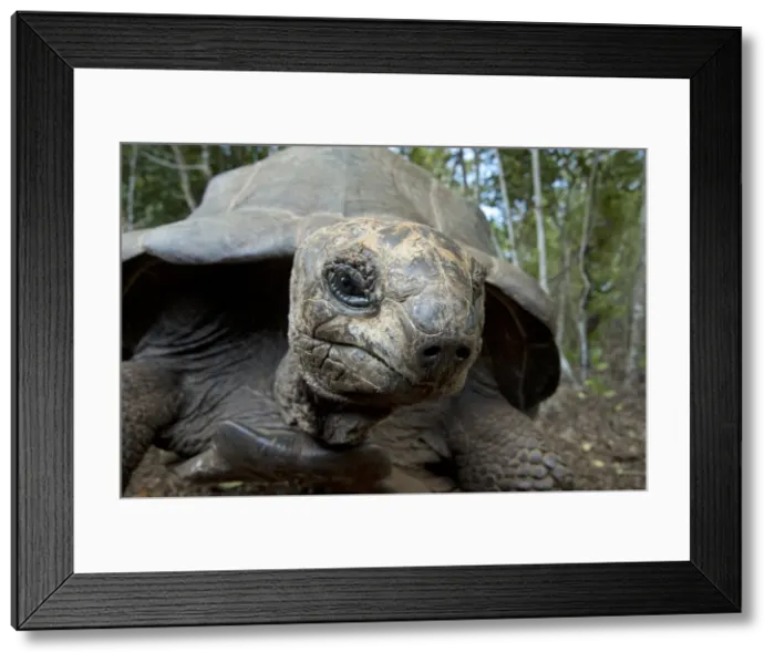 Framed Print : Picture No. 11991629 Framed Print : Picture No. 11991629