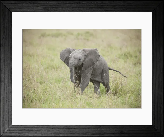 Framed Print : Picture No. 11991634 Framed Print : Picture No. 11991634