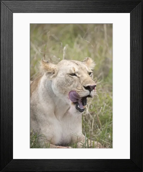 Framed Print : Picture No. 11991642 Framed Print : Picture No. 11991642