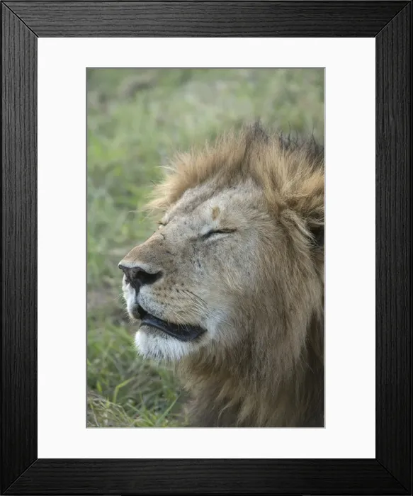 Framed Print : Picture No. 11991645 Framed Print : Picture No. 11991645
