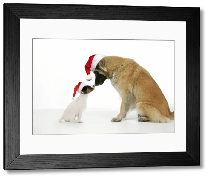 Framed Print : Picture No. 11993390 Framed Print : Picture No. 11993390