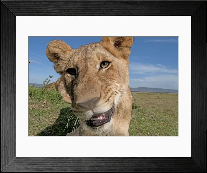 Framed Print : Picture No. 11991649 Framed Print : Picture No. 11991649