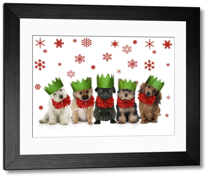Framed Print : Picture No. 11993391 Framed Print : Picture No. 11993391