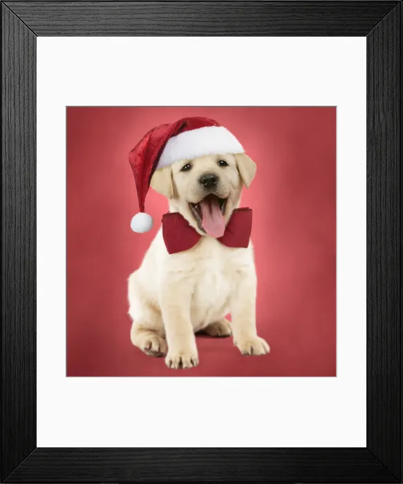 Framed Print : Picture No. 11993392 Framed Print : Picture No. 11993392