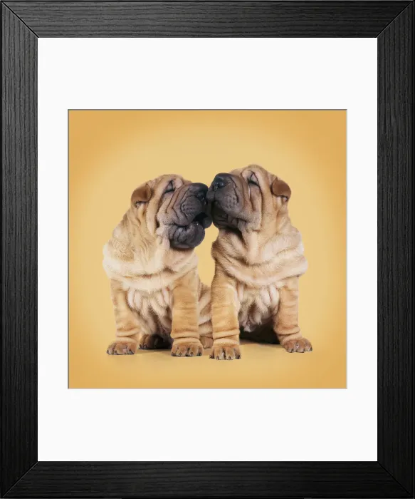 Framed Print : Picture No. 11992375 Framed Print : Picture No. 11992375