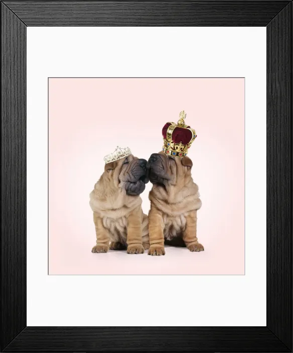 Framed Print : Picture No. 11992374 Framed Print : Picture No. 11992374