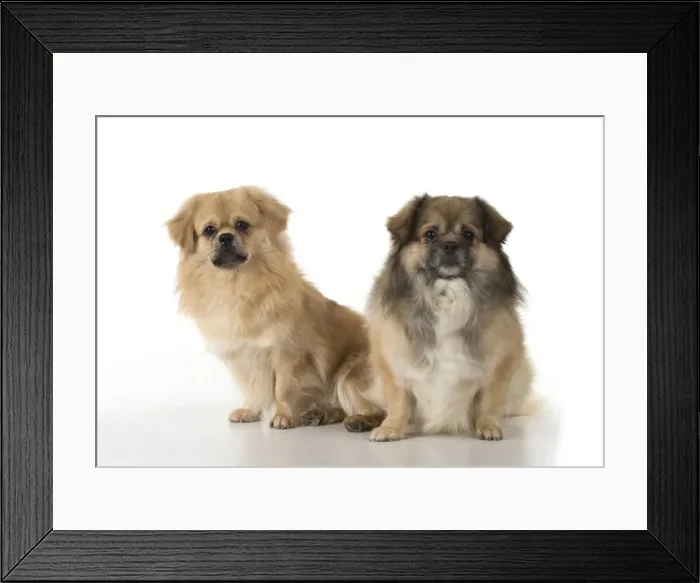 Framed Print : Picture No. 11992799 Framed Print : Picture No. 11992799