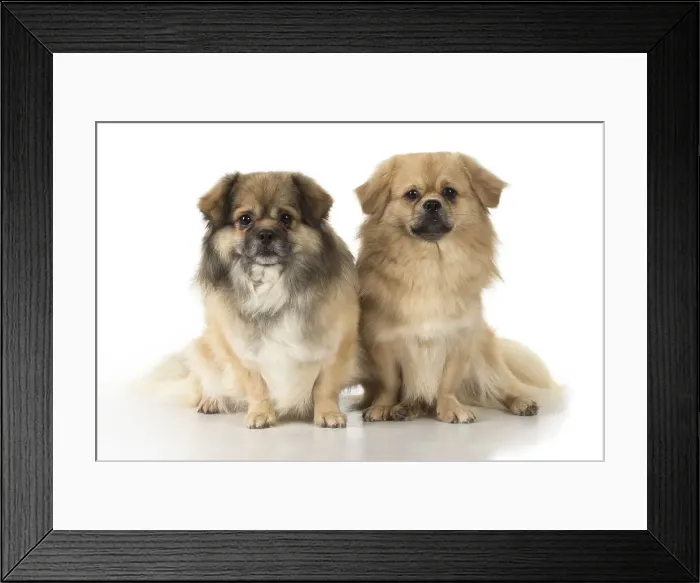 Framed Print : Picture No. 11992800 Framed Print : Picture No. 11992800